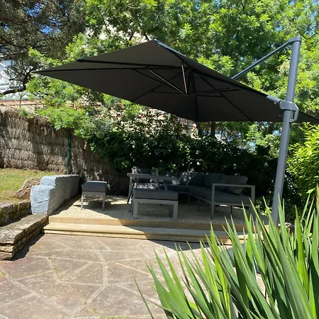 Les Goelands Au Coeur De