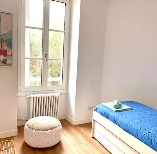 Les Goelands Au Coeur De